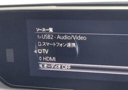 
										2023 MAZDA MX-30 INDUSTRIAL CLASSIC full									