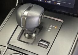 
										2023 MAZDA MX-30 INDUSTRIAL CLASSIC full									