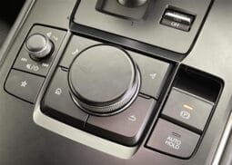 
										2023 MAZDA MX-30 INDUSTRIAL CLASSIC full									