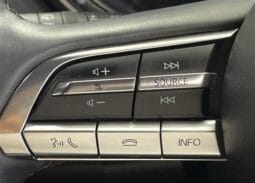 
										2023 MAZDA MX-30 INDUSTRIAL CLASSIC full									