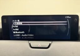 
										2023 MAZDA CX-60 25S EXCLUSIVE MODE full									