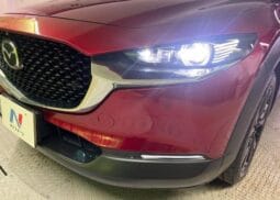 
										2023 MAZDA CX-30 20S BLACK TONE EDITION full									