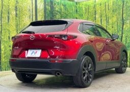 
										2023 MAZDA CX-30 20S BLACK TONE EDITION full									