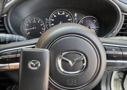 
										2023 MAZDA CX-30 20S PROACTIVE TOURING SELECTION full									