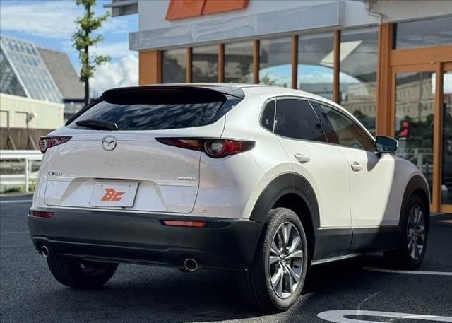 
								2023 MAZDA CX-30 20S PROACTIVE TOURING SELECTION full									