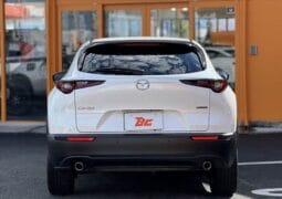 
										2023 MAZDA CX-30 20S PROACTIVE TOURING SELECTION full									