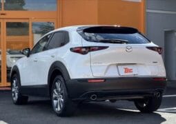 
										2023 MAZDA CX-30 20S PROACTIVE TOURING SELECTION full									