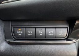 
										2023 MAZDA CX-30 20S PROACTIVE TOURING SELECTION full									