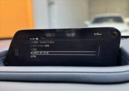 
										2023 MAZDA CX-30 20S PROACTIVE TOURING SELECTION full									