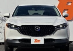 
										2023 MAZDA CX-30 20S PROACTIVE TOURING SELECTION full									